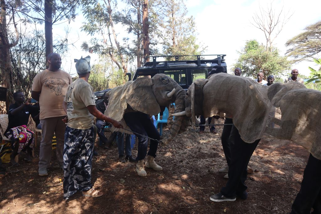 Born Free team members dressed in elephant puppet outfits