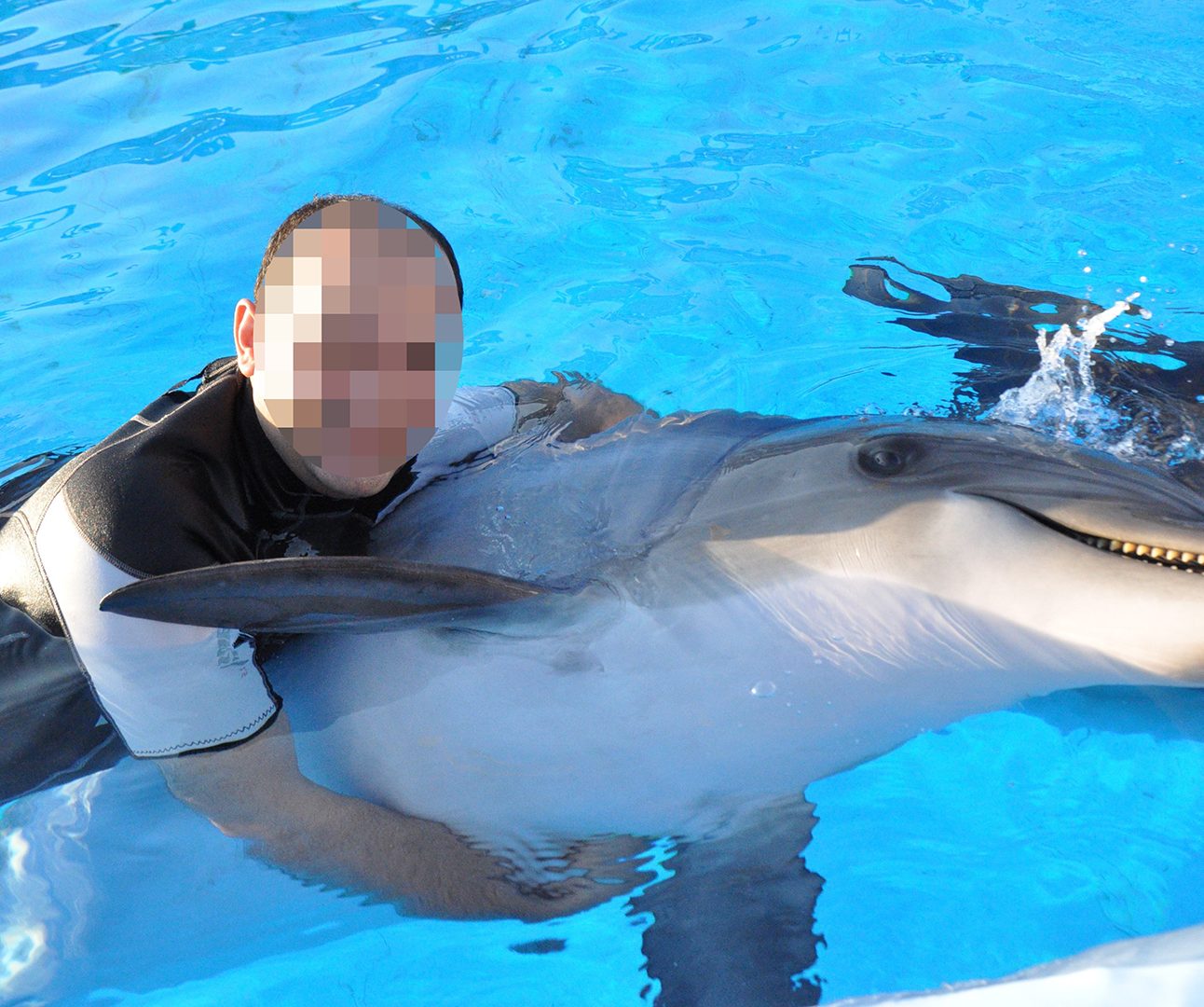 A man in a swimming pool cradling a captive dolphin.
