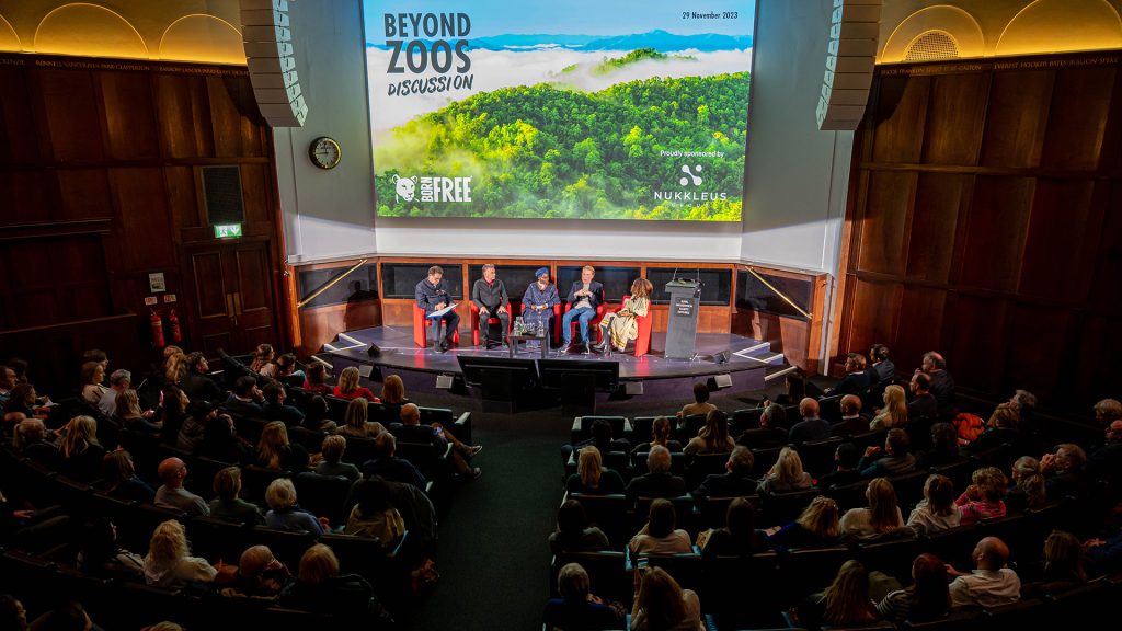 A panel of five people sitting on a stage, with large projector screen behind them and large audience in front