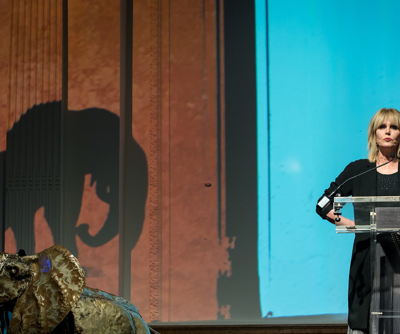 Joanna Lumley stands at a podium, while the shadow of an elephant puppet is on the wall