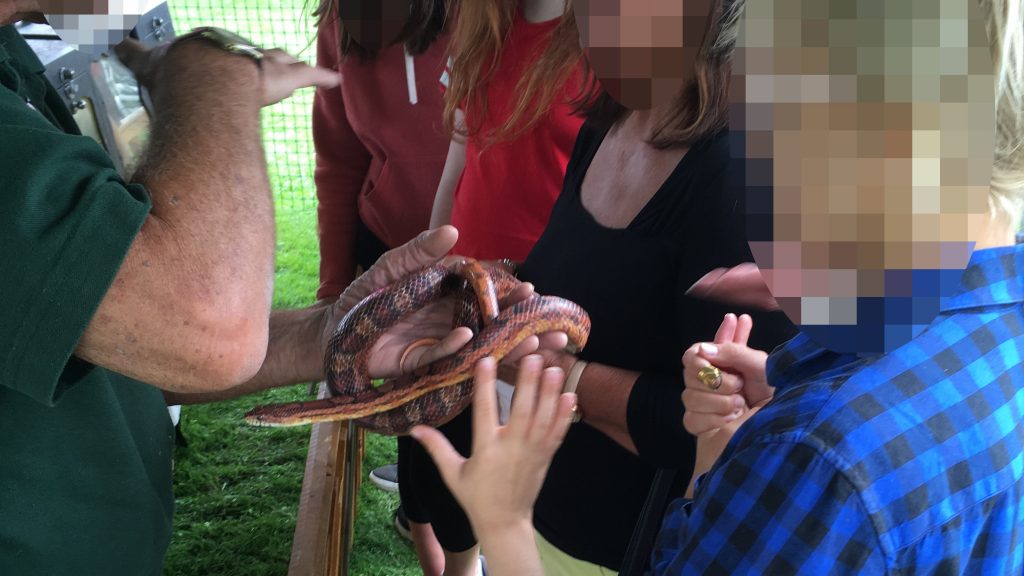 AA young boy is handling a snake while adults look on