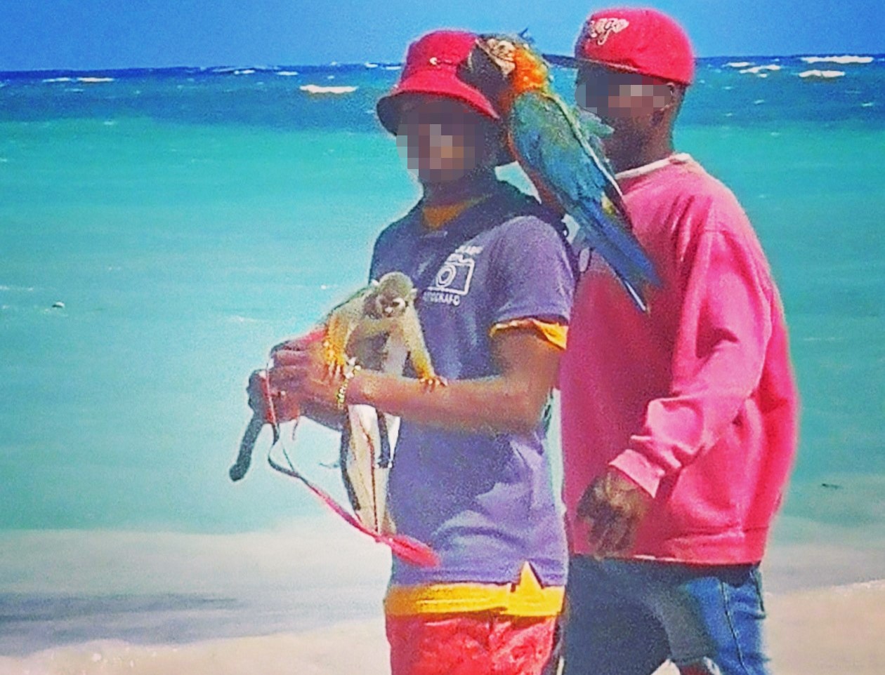 Two men stand on sand in front of the sea, holding a small monkey and a parrot