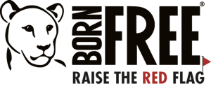 Raise the Red Flag logo
