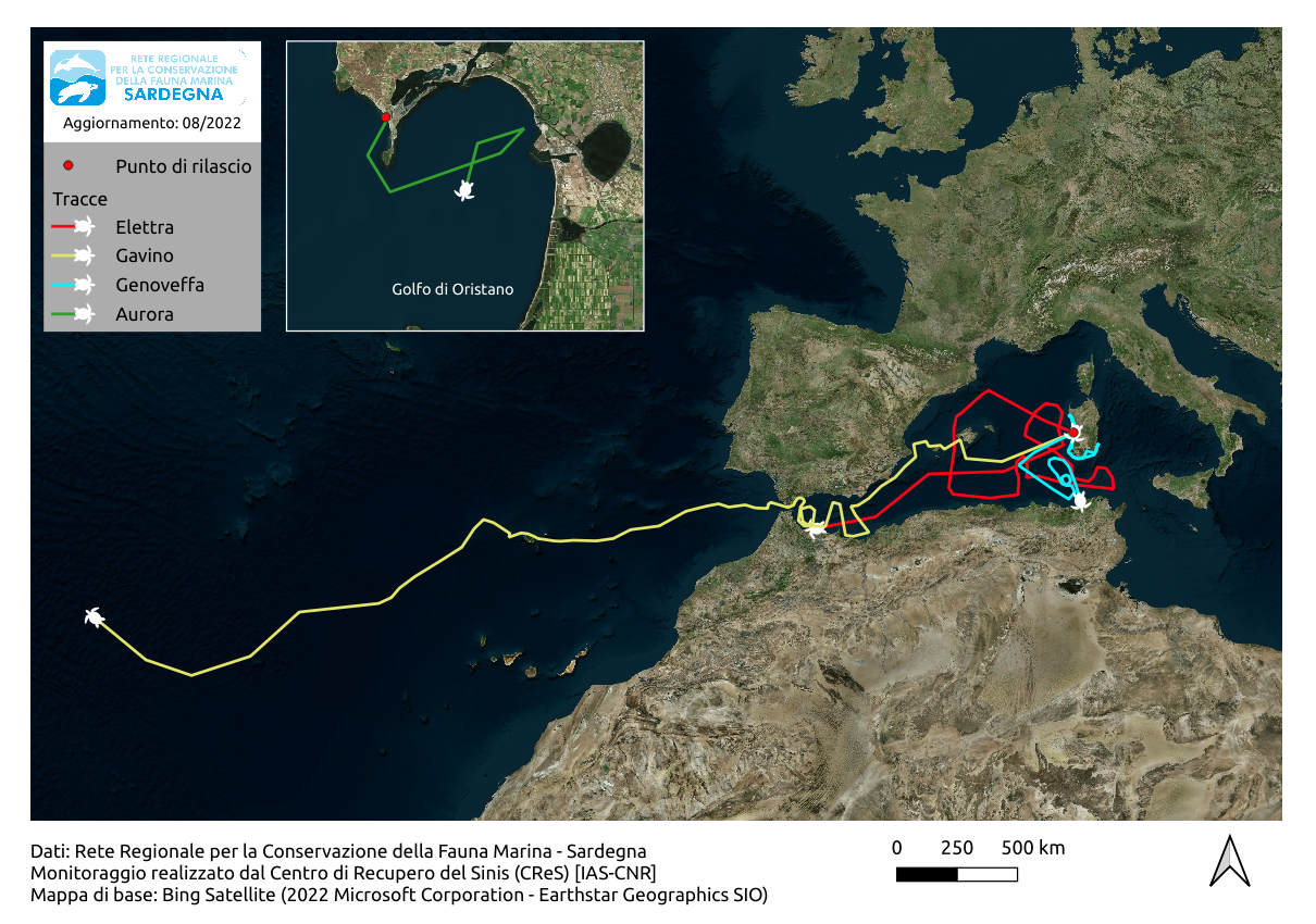 A map showing the turtles' progress in August 2022